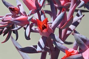 2025-08270170 Tower Hill Botanic Garden, MA